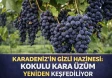 Karadeniz’in Gizli Hazinesi: Kokulu Kara Üzüm Yeniden Keşfediliyor