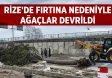 Rize’de Fırtına Nedeniyle Ağaçlar Devrildi