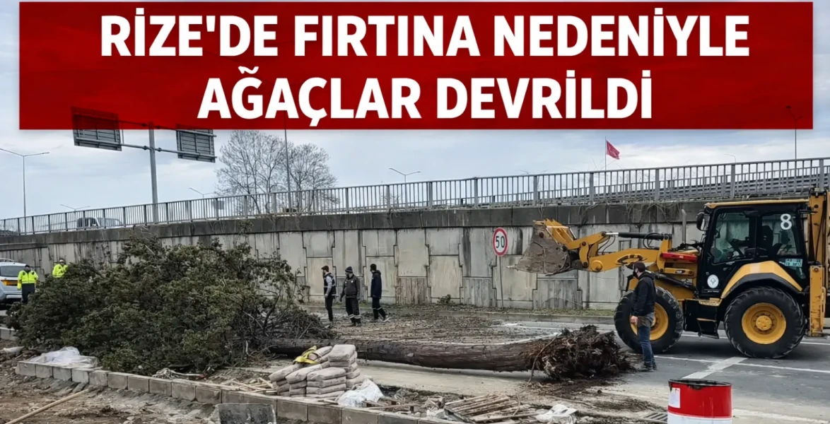 Rize’de Fırtına Nedeniyle Ağaçlar Devrildi