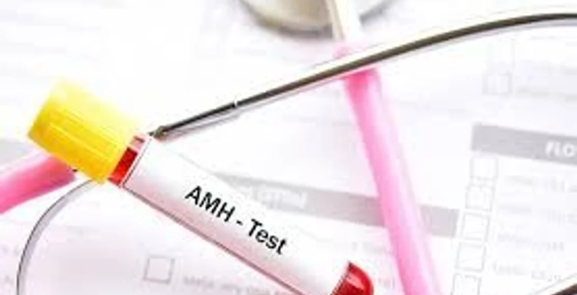 AMH Testi: Kadınların Üreme Sağlığını Değerlendiren Önemli Bir Test