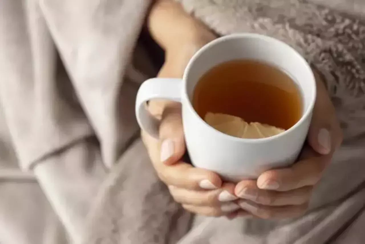 Kahve ve Siyah Çay Olarak Bilinenlerin Yerini Rooibos Çayı Alıyor: Antioksidanlarla Dolu Yeni “Süper Gıda” Trend! 1
