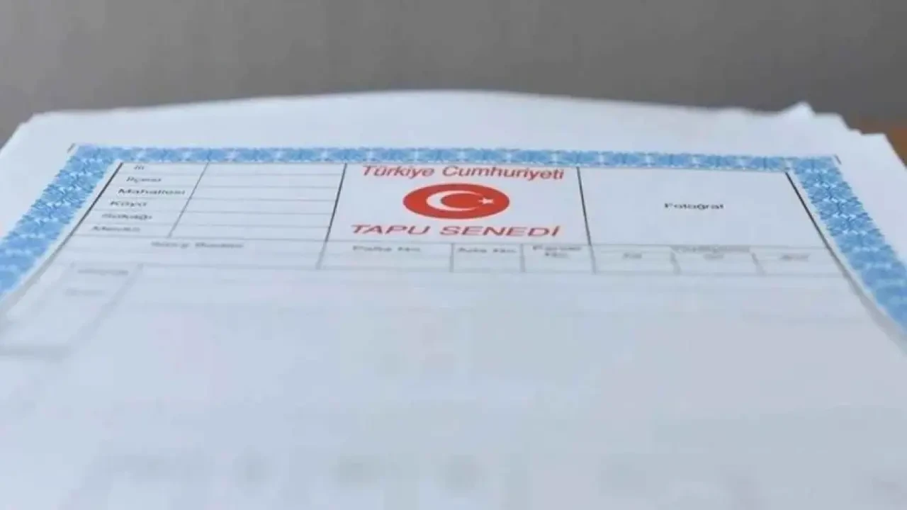 Miras Paylaşımında Dikkat Edilmesi Gerekenler: Evinizi Kardeşinize Kaybedebilirsiniz! 7