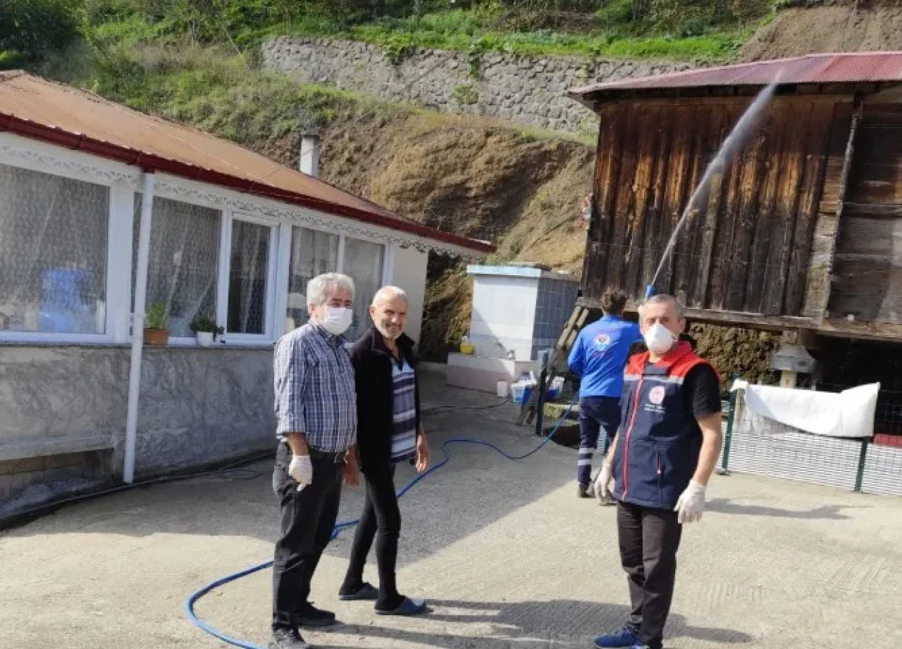 Vakfıkebir'de Kahverengi Kokarca ile Mücadele İçin İlaçlama Çalışmaları Devam Ediyor