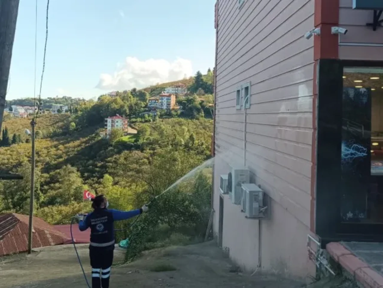 Trabzon'da kahverengi kokarca ile mücadele için ilaçlama çalışmaları başladı