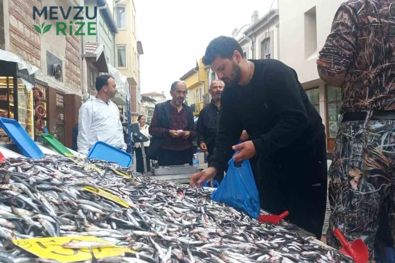 Hamsinin kilosu 50 liraya düştü, vatandaşlar poşet poşet aldı