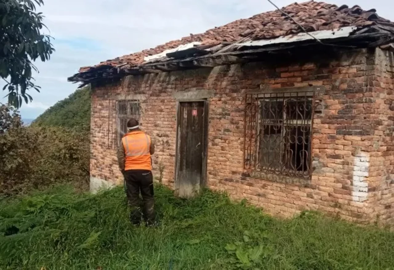 Arsin'de Kahverengi Kokarca ile Mücadele İçin Tarım Seferberliği Başladı