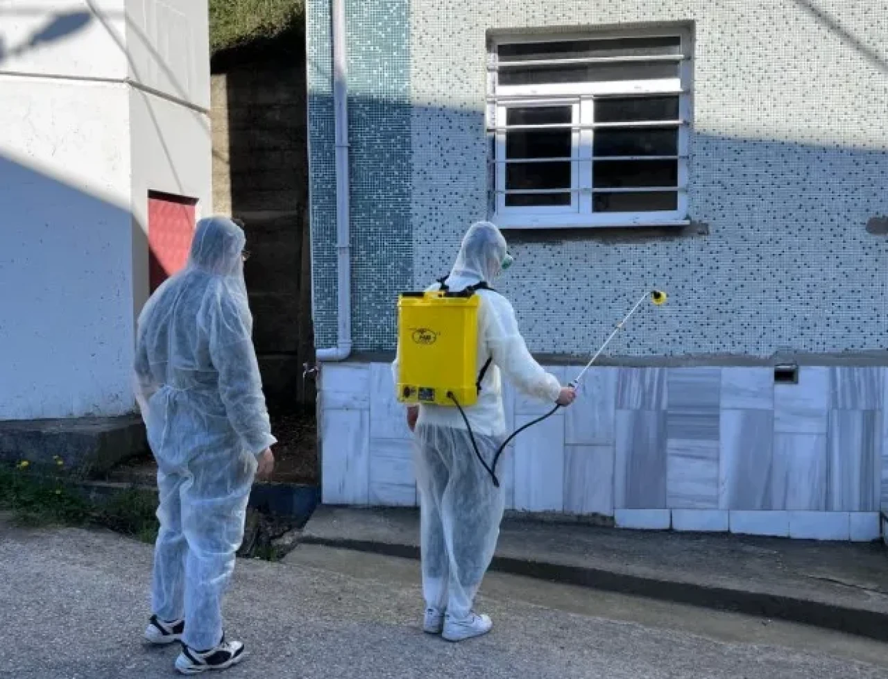 Trabzon'da kahverengi kokarca ile mücadele ilaçlama çalışmaları sürüyor