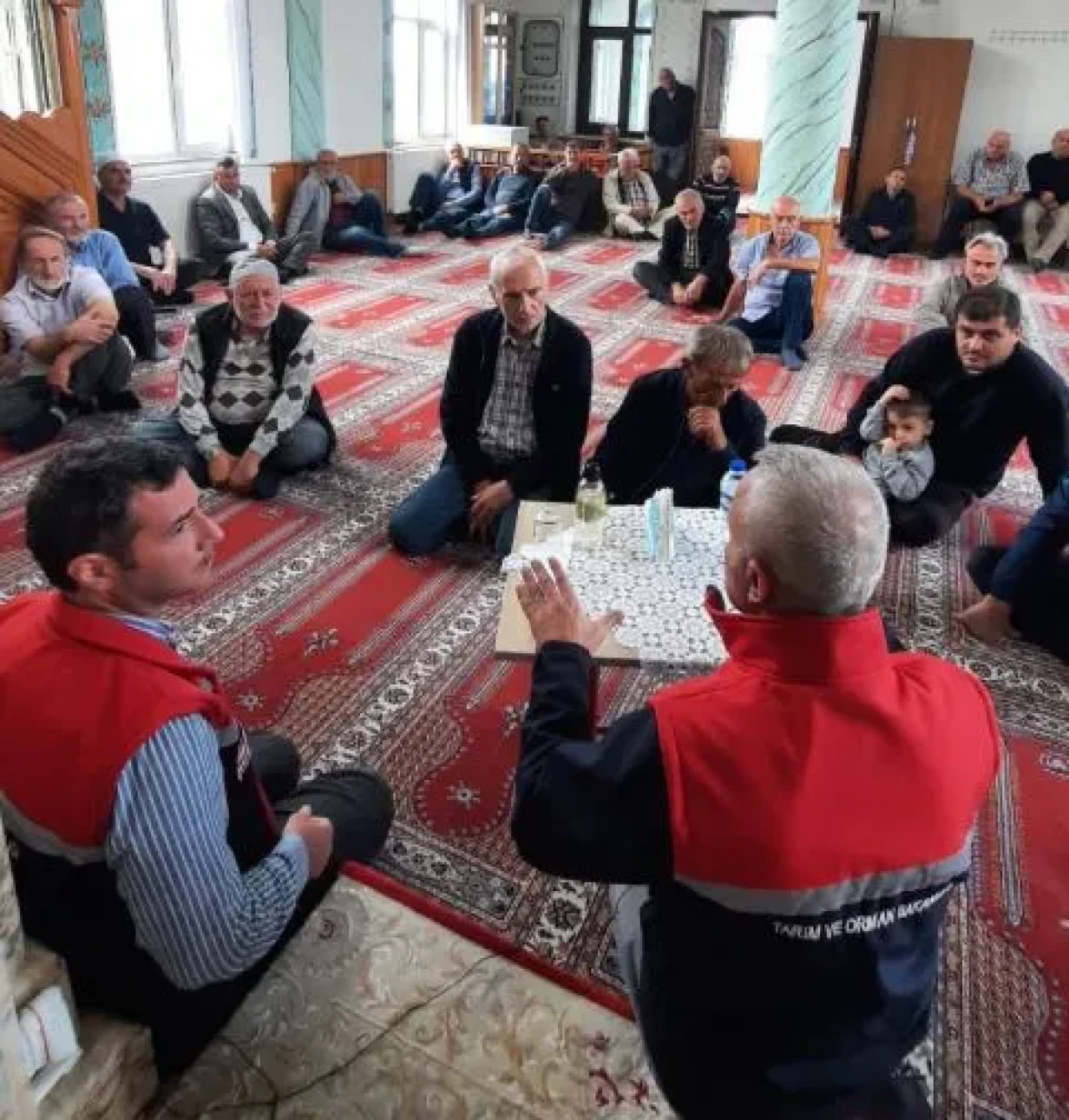 Trabzon'da üreticilere kahverengi kokarca ile mücadele eğitimi verildi
