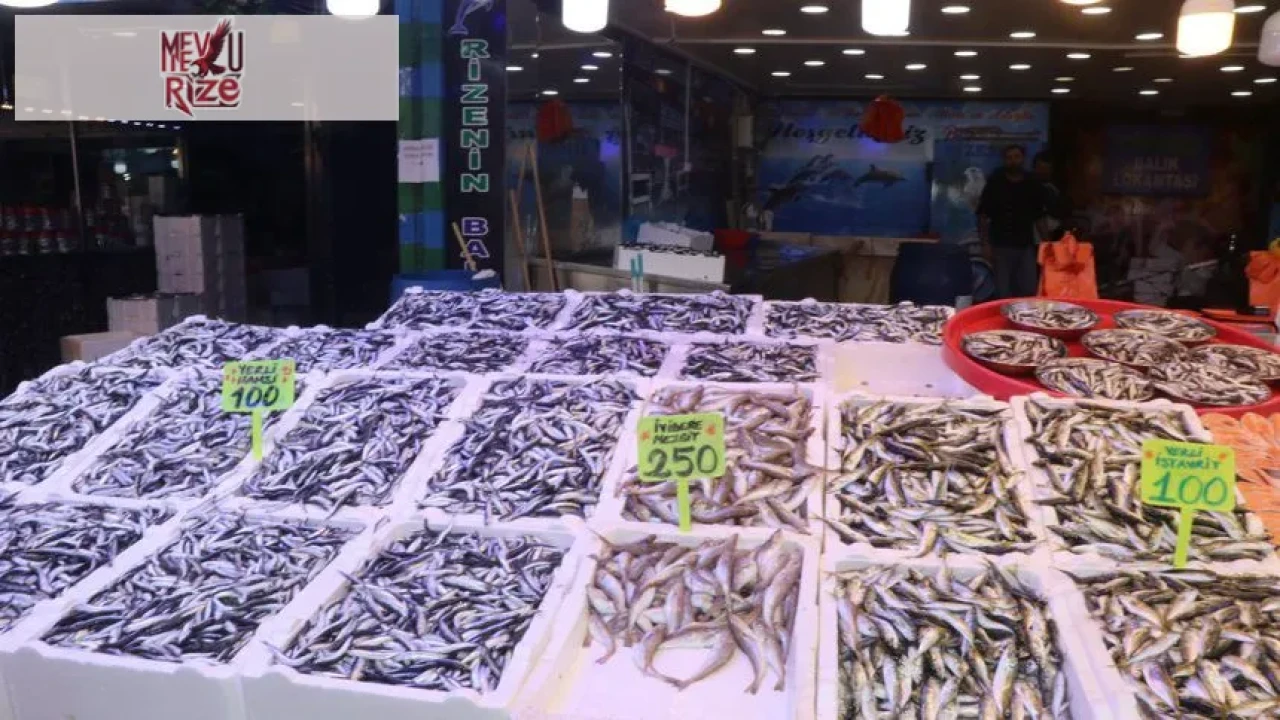 Hamsi ve istavrit 100, mezgit 250 lira