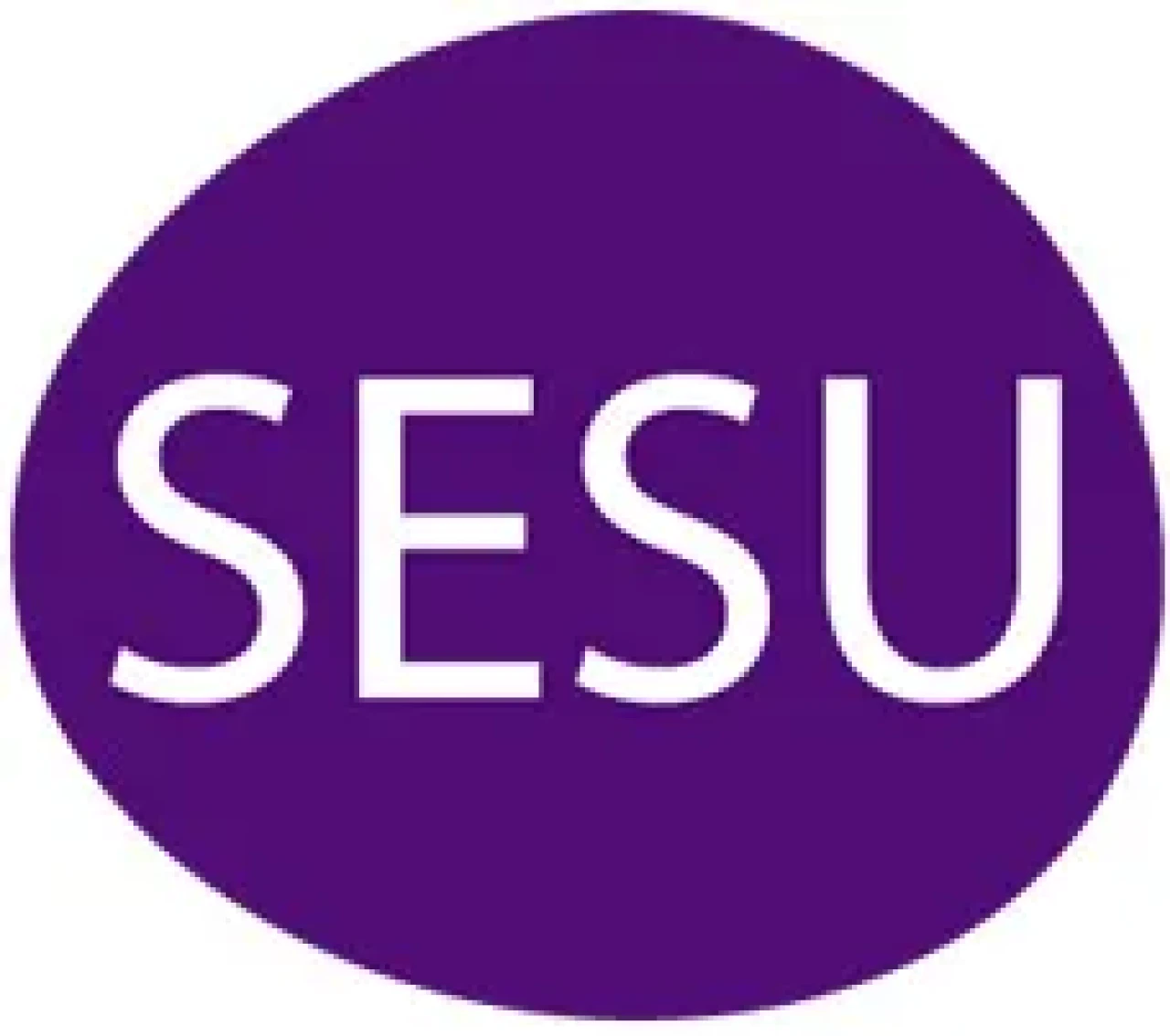 Sesu İsrail’in mi, hangi ülkenin malı? Sesu Türk malı mı, sahibi kim? Sesu kimin markası?