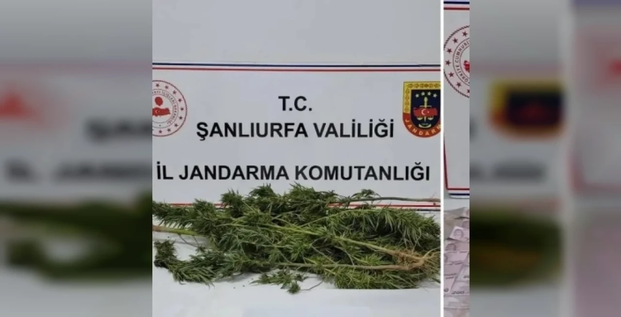 Şanlıurfa'da narkotik operasyon: 4 şüpheli gözaltına alındı