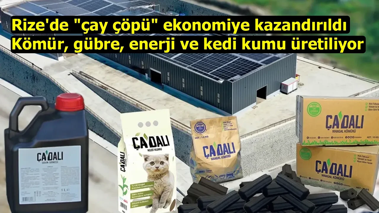 Rize Belediyesi'nin Çay Atıkları Ekonomiye Kazandırdığı Çevre Dostu Proje Ödül Aldı!