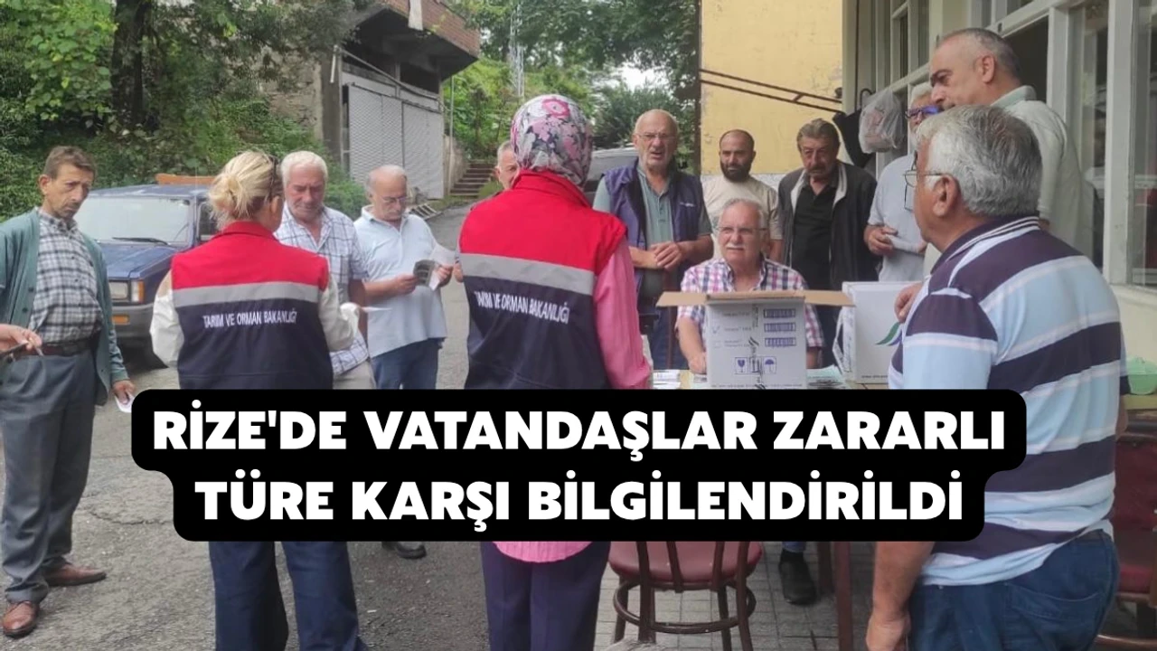 Kahverengi Kokarca Zararlısıyla Mücadele İçin Eylem Planı Başlatıldı