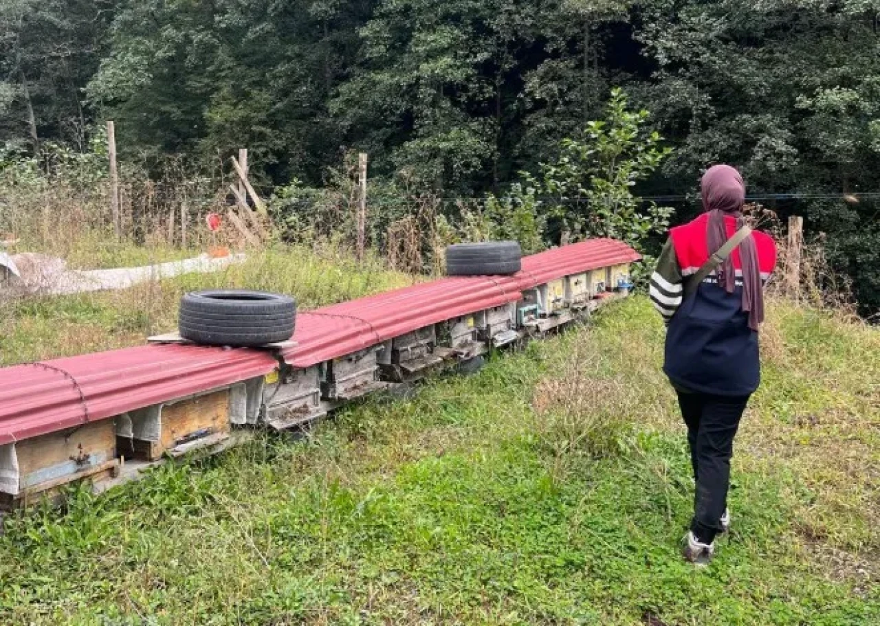 Çaykara’da Arılı Kovan Tespit Çalışmaları Sürüyor