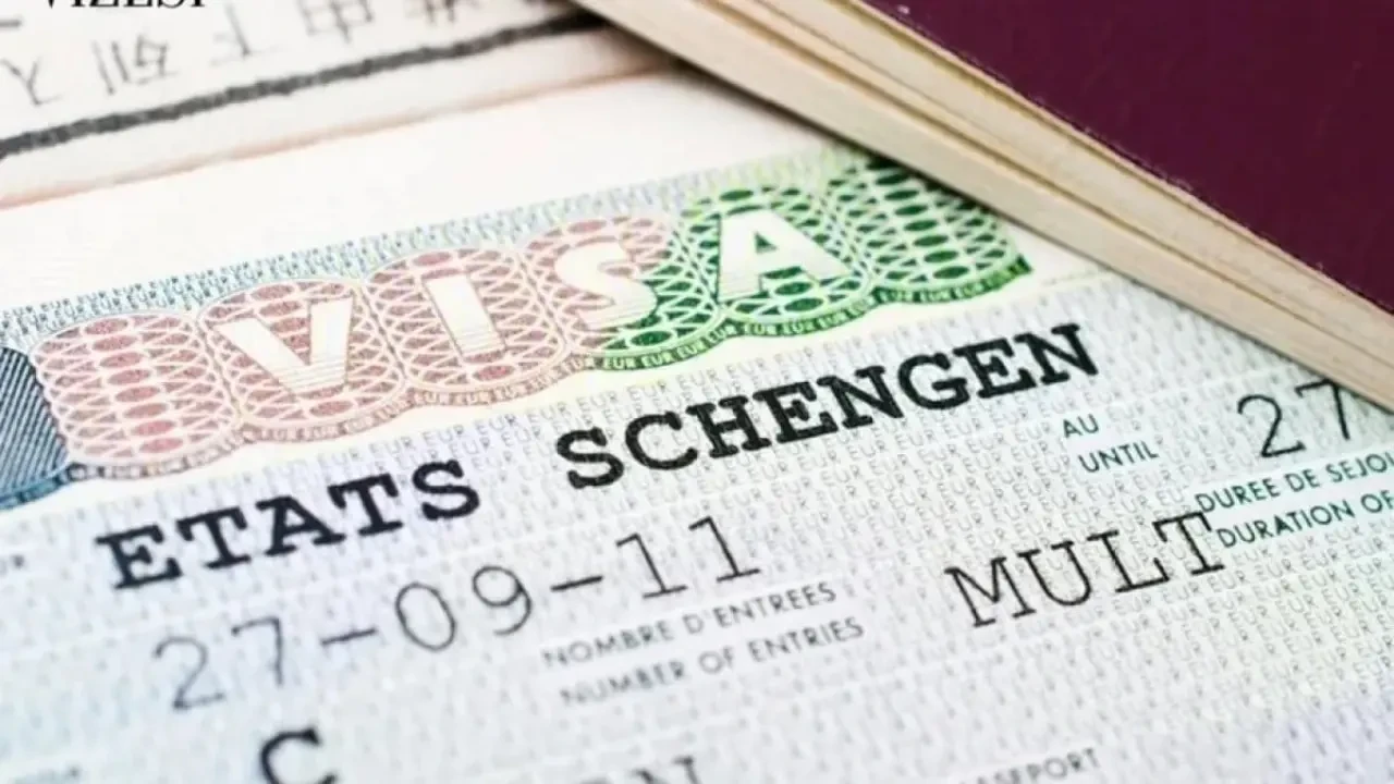 "Schengen Vizesi, İnsan Hakları Aktivistlerinin Hareketlerini Kısıtlıyor"