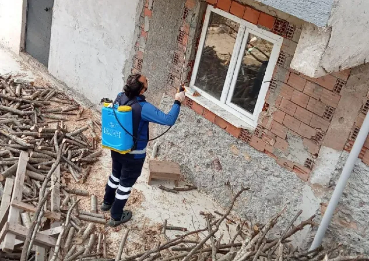 Arsin'de Kahverengi Kokarca ile Kış Mücadelesi: Üreticilere Destek Sağlanıyor