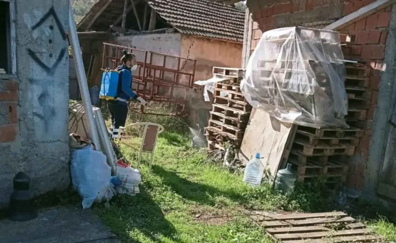 Arsin'de Kahverengi Kokarca Üzerine Kışlak İlaçlama Çalışmaları Devam Ediyor