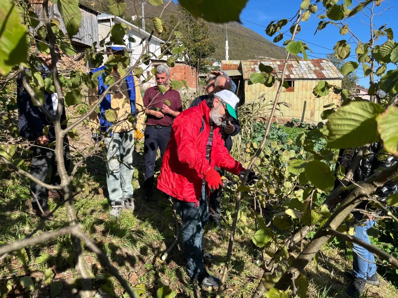 Düzköy'de Fındık Üreticilerine Özel Eğitim Programı Gerçekleştirildi