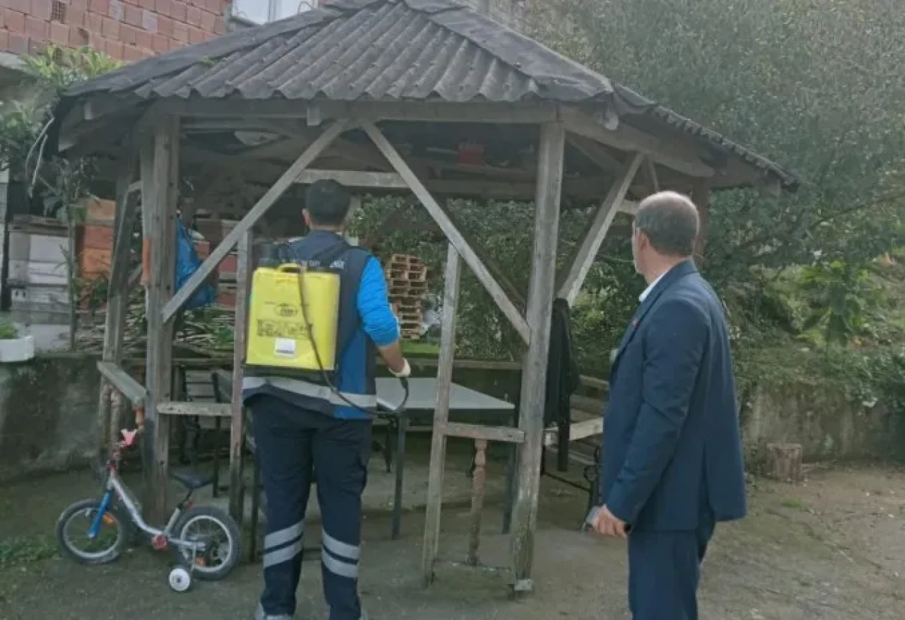 Arsin'de Kahverengi Kokarca için kış mücadelesi devam ediyor