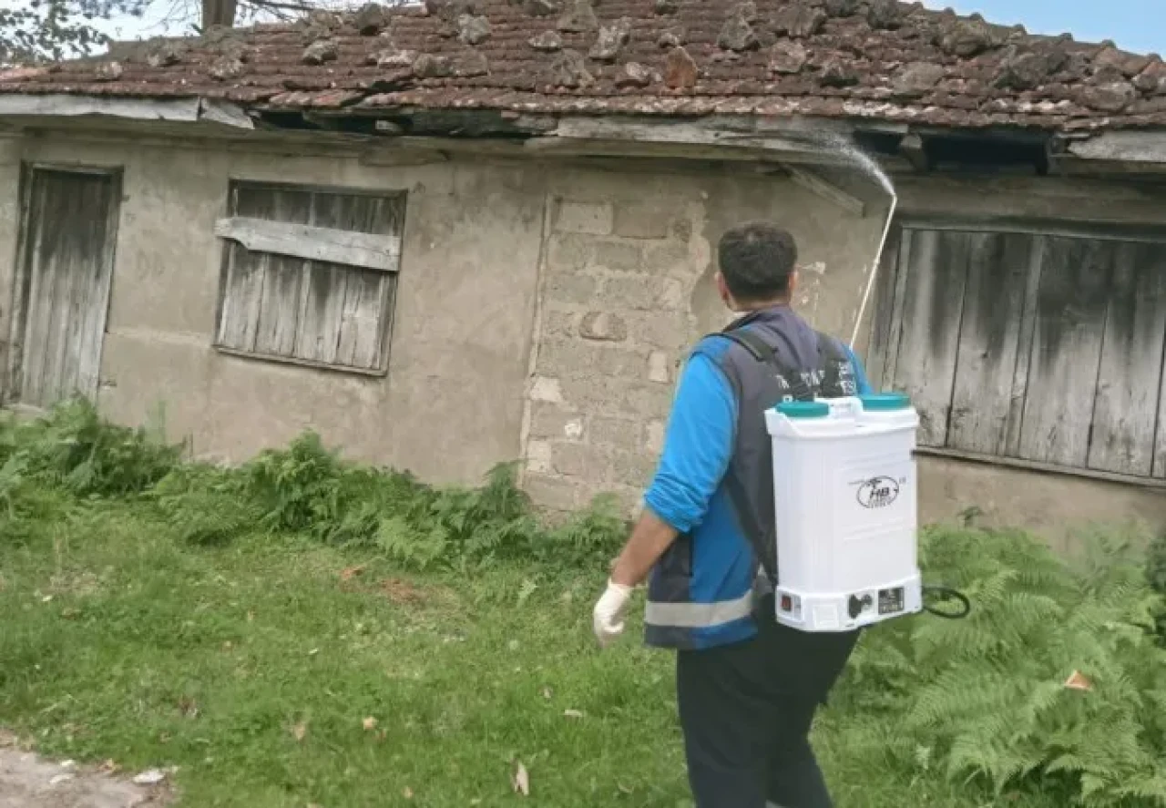 Karaca Mahallesi'nde kahverengi kokarca zararlısına karşı ilaçlama seferberliği devam ediyor