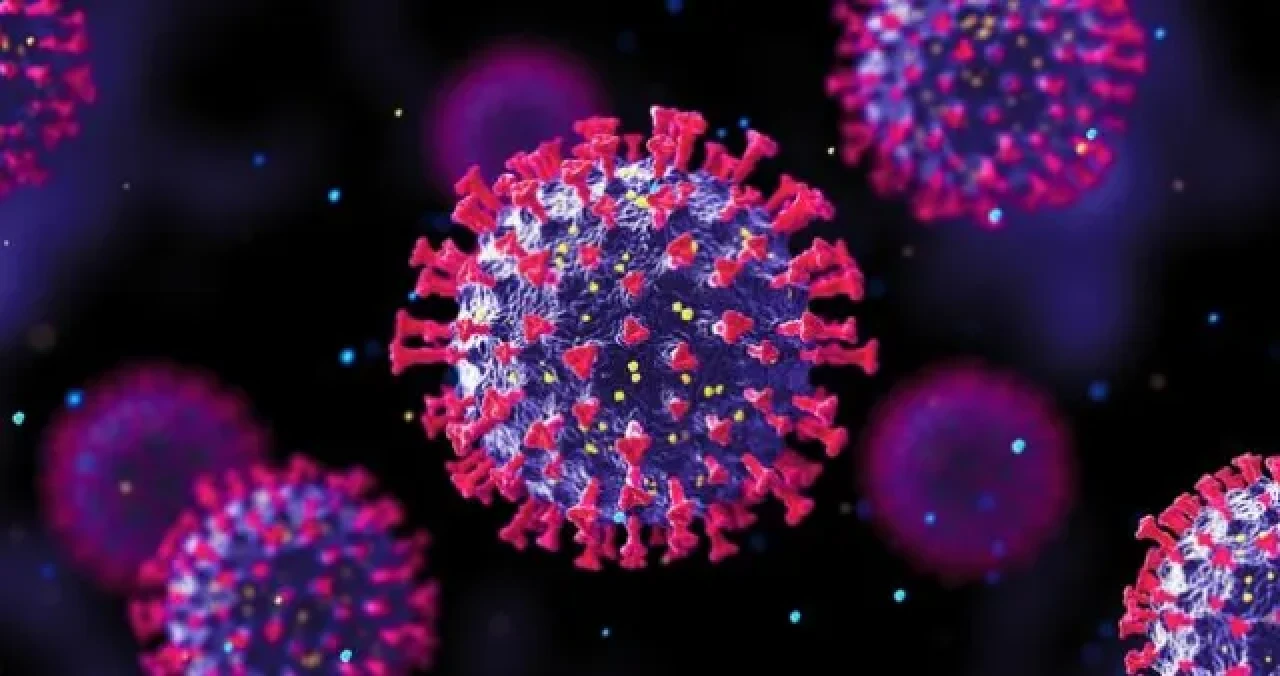 H3N2 Virüsü Türkiye'de Tehlike Saçıyor, Uzmanlar Uyarıyor!