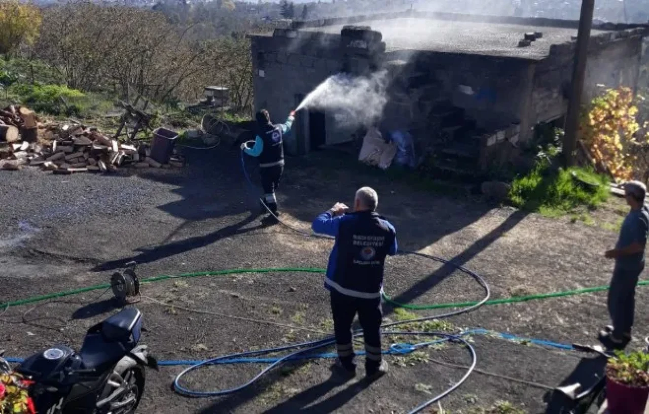Trabzon'da Kahverengi Kokarca İçin Kışlak İlaçlama Çalışmaları Sürüyor