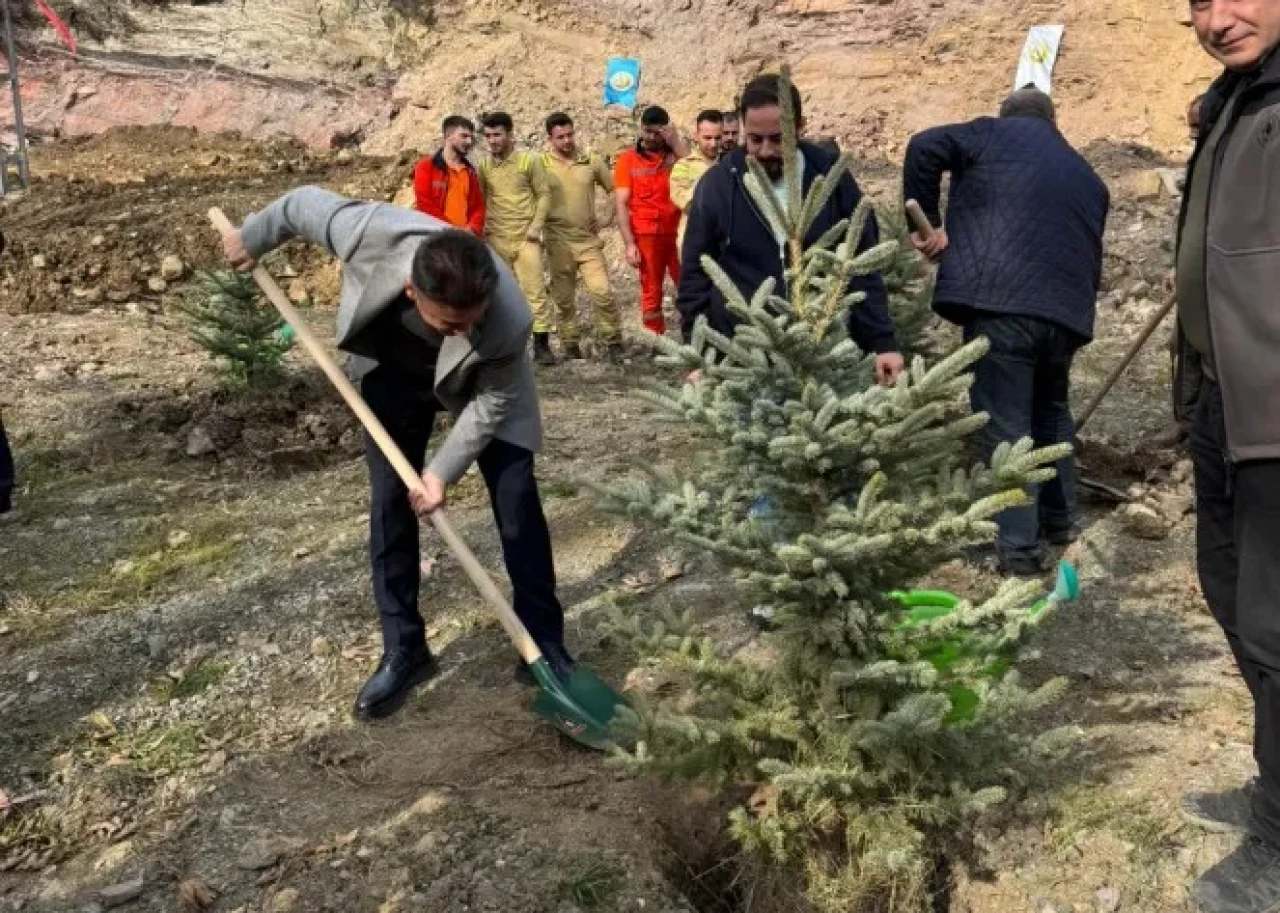 Maçka Belediyesi'nden 11 Kasım için anlamlı fidan dikim etkinliği coşkuyla kutlandı