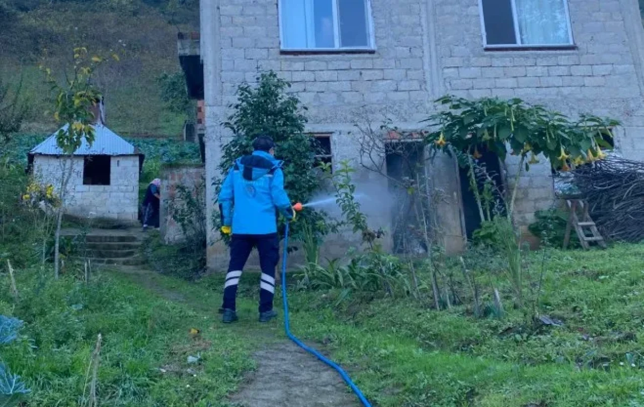 Trabzon'da kokarca mücadelesi için ilaçlama çalışmaları sürüyor