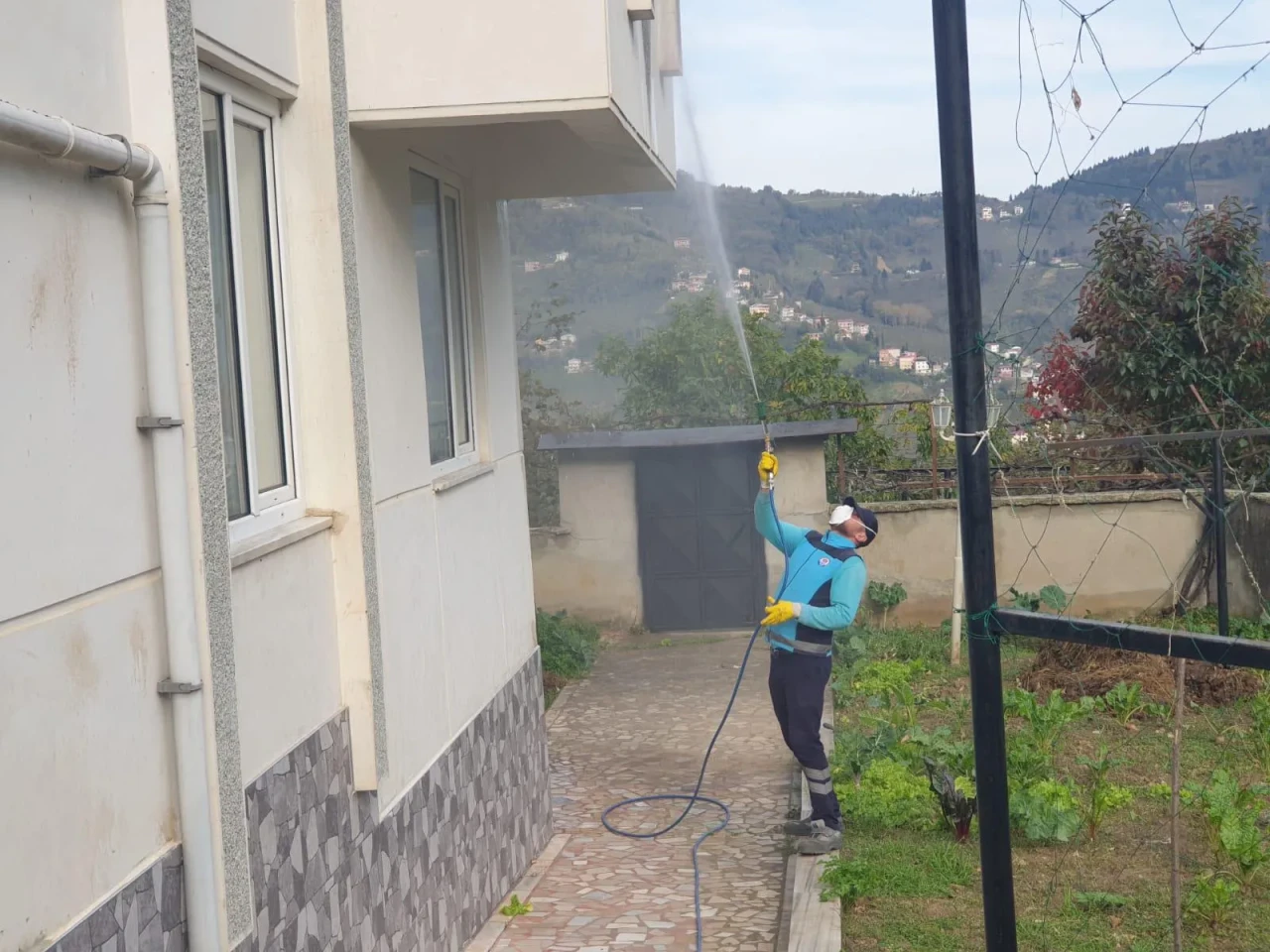 Maçka'da kahverengi kokarcaya karşı kış ilaçlaması sürüyor, üreticilere destek çağrısı yapıldı