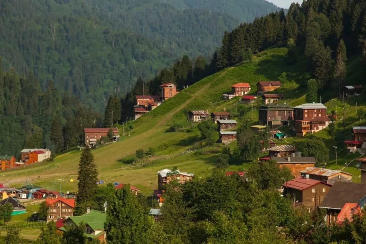 Beşerî Durum ve Ekonomi