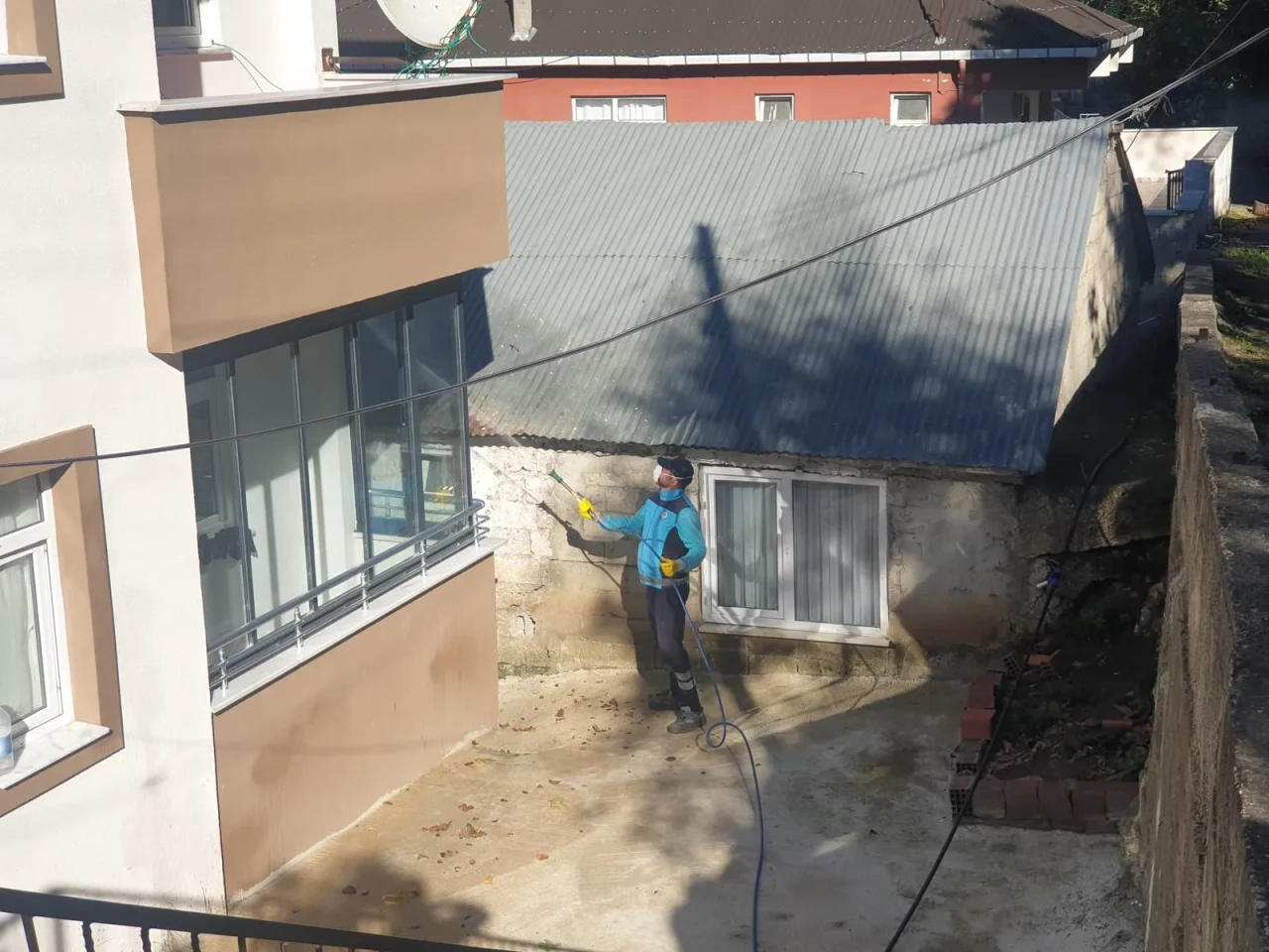 Trabzon'da kahverengi kokarca zararlısına karşı ilaçlama çalışmaları sürüyor