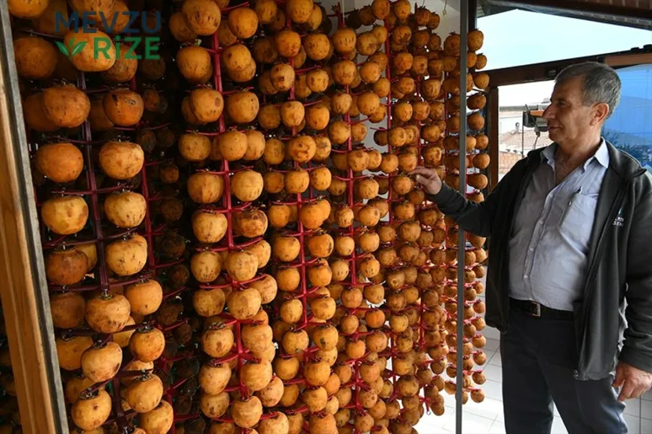 Trabzon hurmasını kurutarak gelirini iki kat artırdı, hedefi toptan satış yapmak!