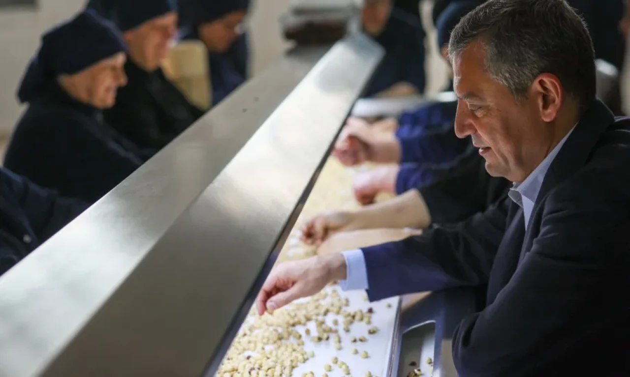 Özgür Özel, Ordu'da fındık fabrikasını ziyaret edip işçilerle fındık ayıkladı