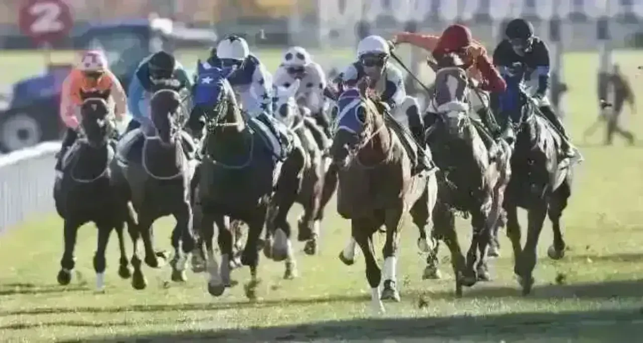 İzmir'de 23 Kasım 2025 Tarihindeki At Yarışlarının Sonuçları Açıklandı!