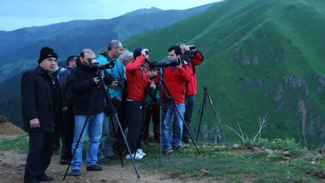 Rize'de Kuş Gözlemciliği