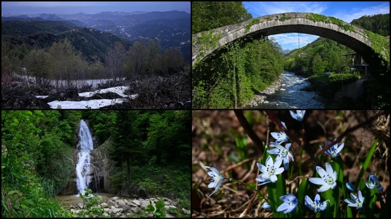 Çayın Başkenti: Rize'nin kuruluşu, tarihi mirası ve doğal cenneti