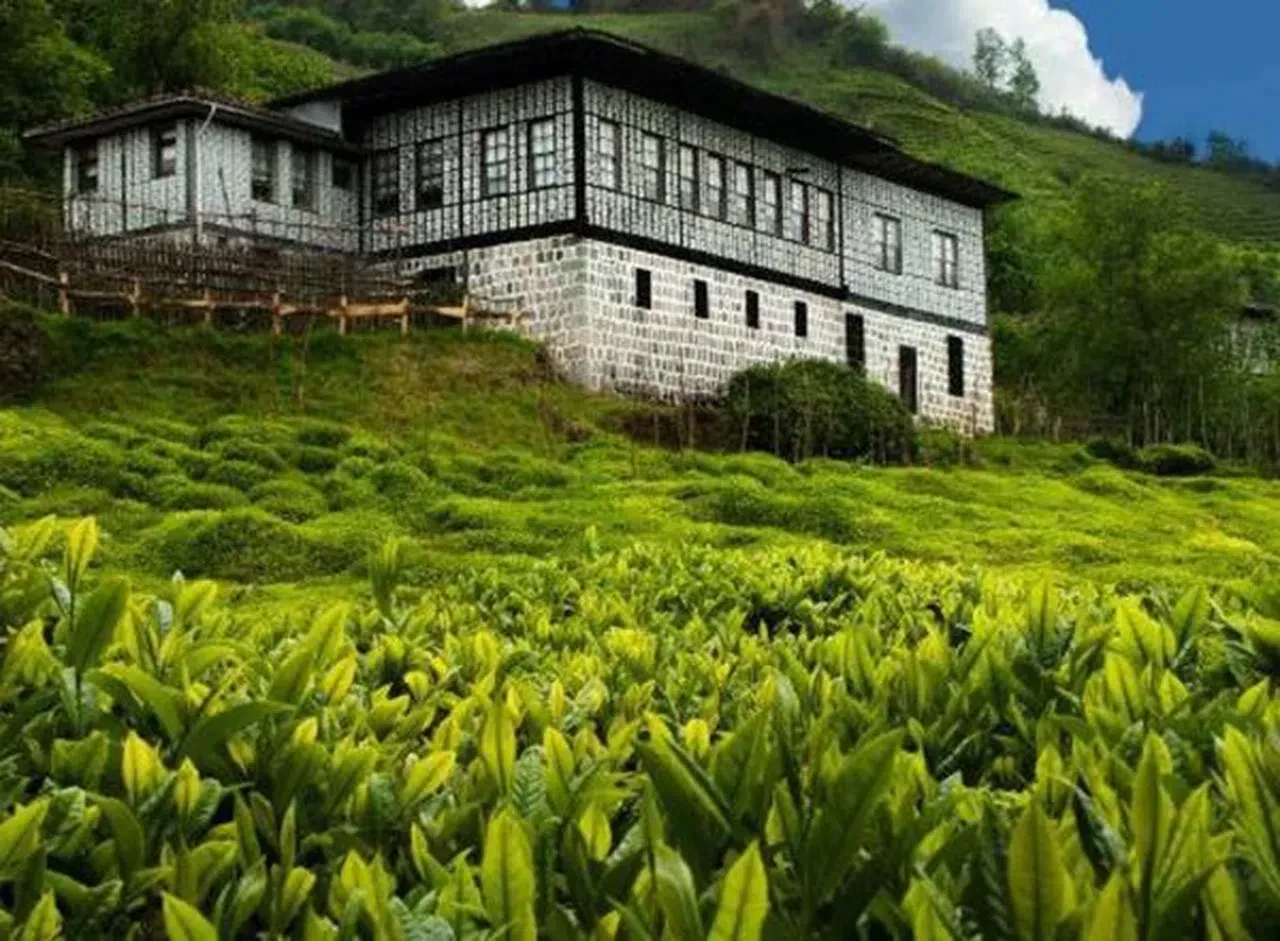 Rize nerede? Rize'de nereye gidilir? Rize'de gezilecek yerler