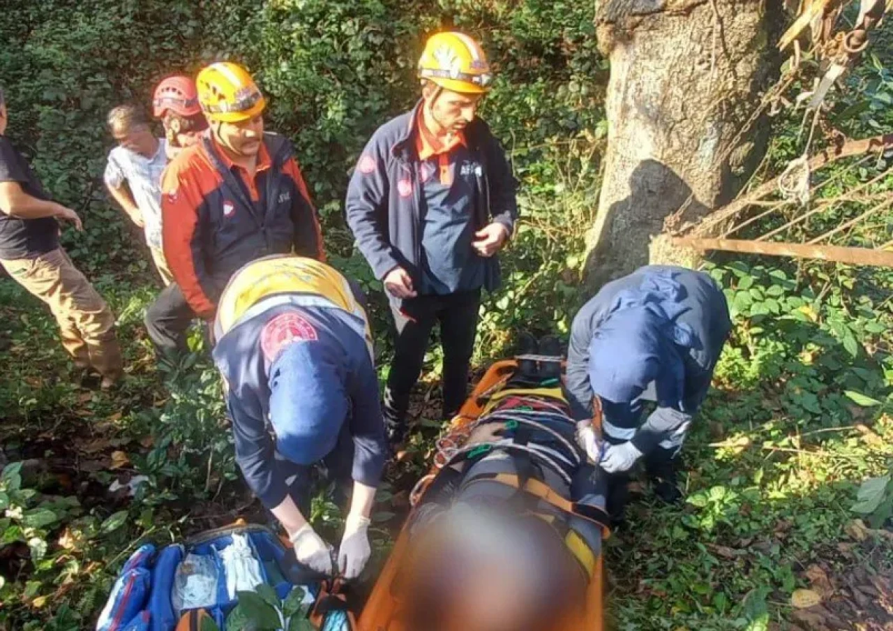 Rize'de ağaç altında kalan vatandaş, ekiplerin zamanında müdahalesiyle kurtarıldı