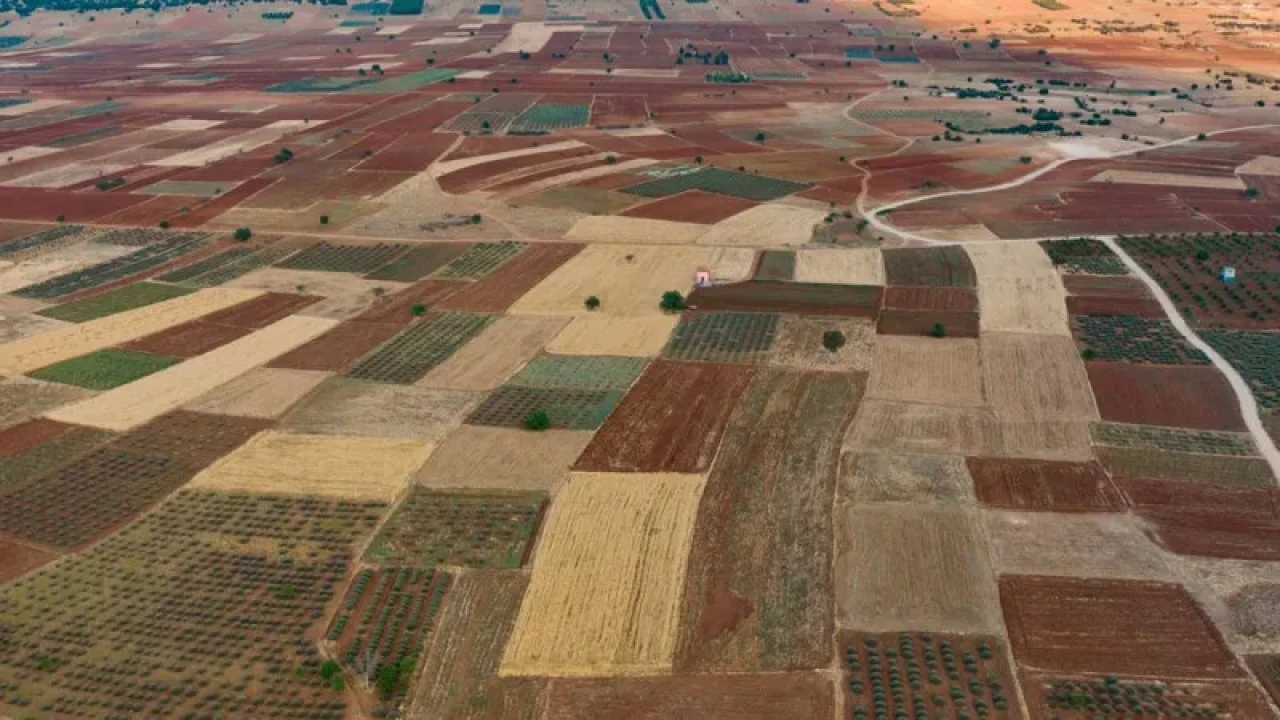 Türkiye'deki En Uygun Fiyatlı İmar Durumuna Sahip Arsalar Hangi İllerde Bulunuyor?