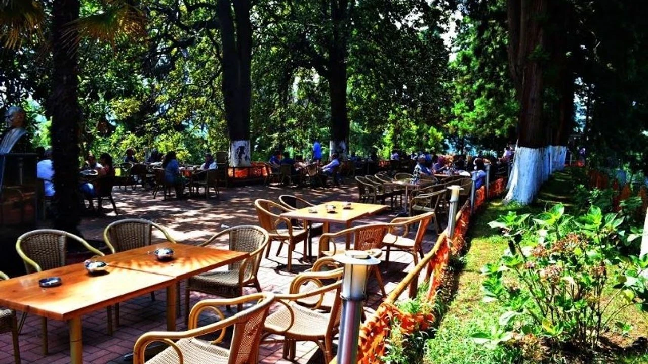 Rize Ziraat Çay Bahçesi