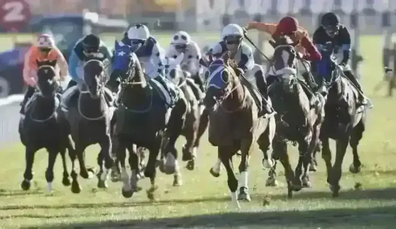 21 Kasım 2025 Cuma Bursa At Yarışı Sonuçları – TJK Altılı Ganyan Sonuçları