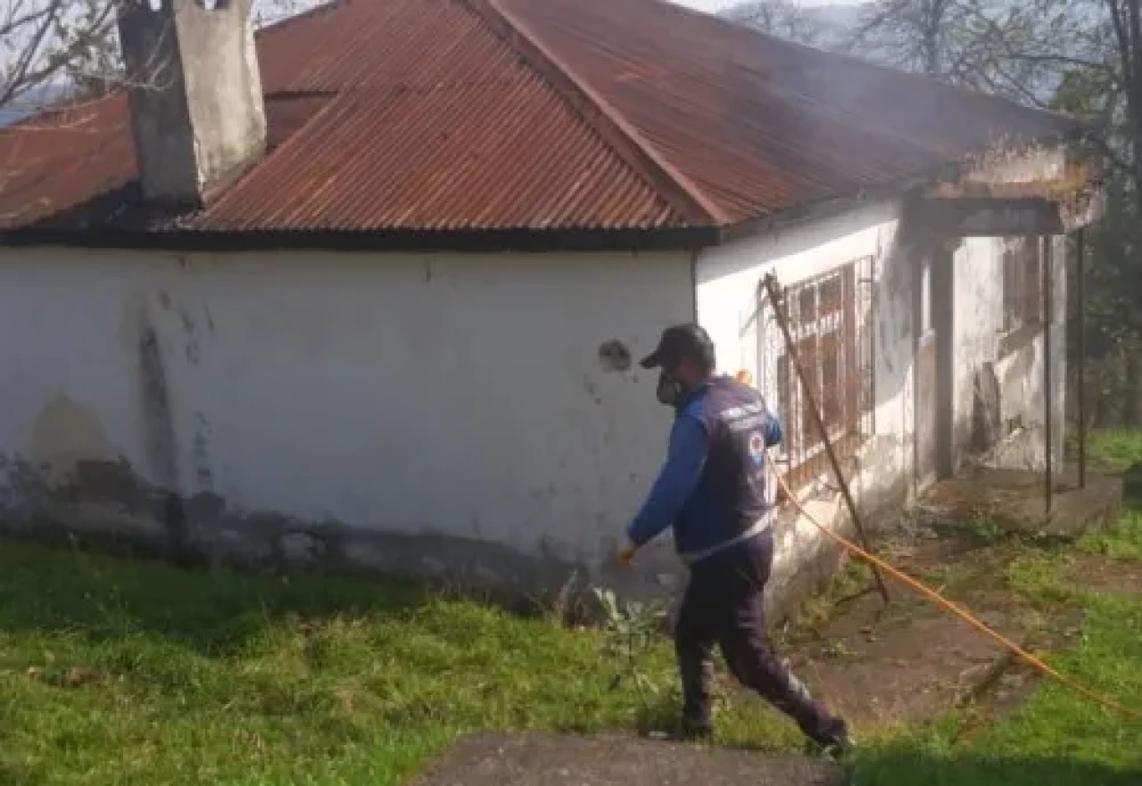 Trabzon'da kahverengi kokarca için kışlak mücadele çalışmaları sürüyor