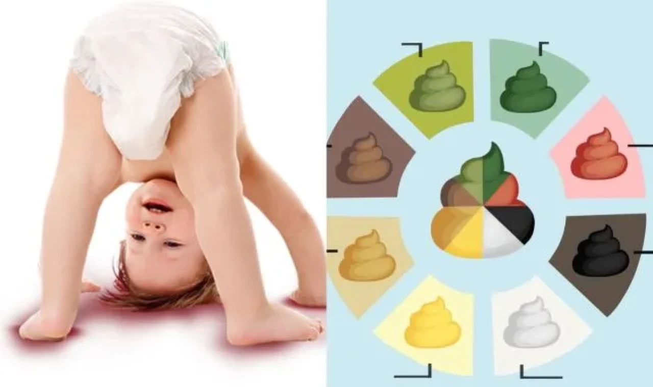 Bebeklerde Dışkı Renkleri ve Kokularının Anlamı: Anne Babalar İçin Bilgilendirici Rehber 2025