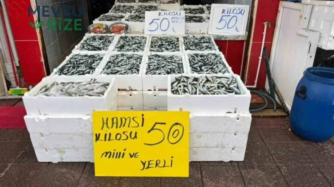 Rize'de Hamsi Fiyatları 50 TL ile Sofralarda Bolluk Yarattı