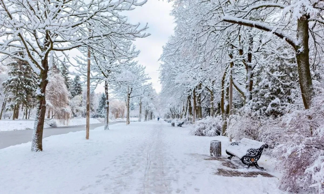 Kutup Soğukları Müjdeledi! 39 İli Etkisi Altına Alacak Kar Yağışı Yolda!