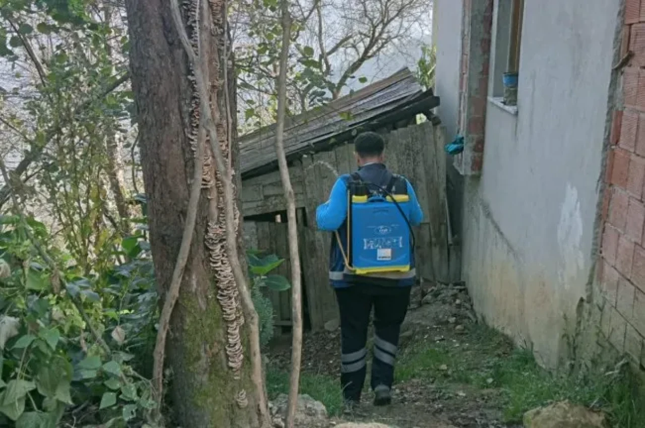 Trabzon'da Zararlı Kokarca ile Mücadele İçin İlaçlama Çalışmaları Sürüyor