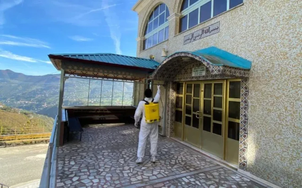 Trabzon'da kahverengi kokarca ile mücadele için kışlık ilaçlama çalışmaları sürüyor