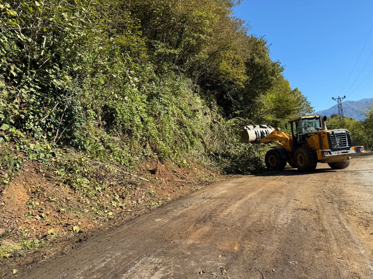 Arhavi'de yol kenarı düzenlemesi ile çevre estetiği artırılıyor