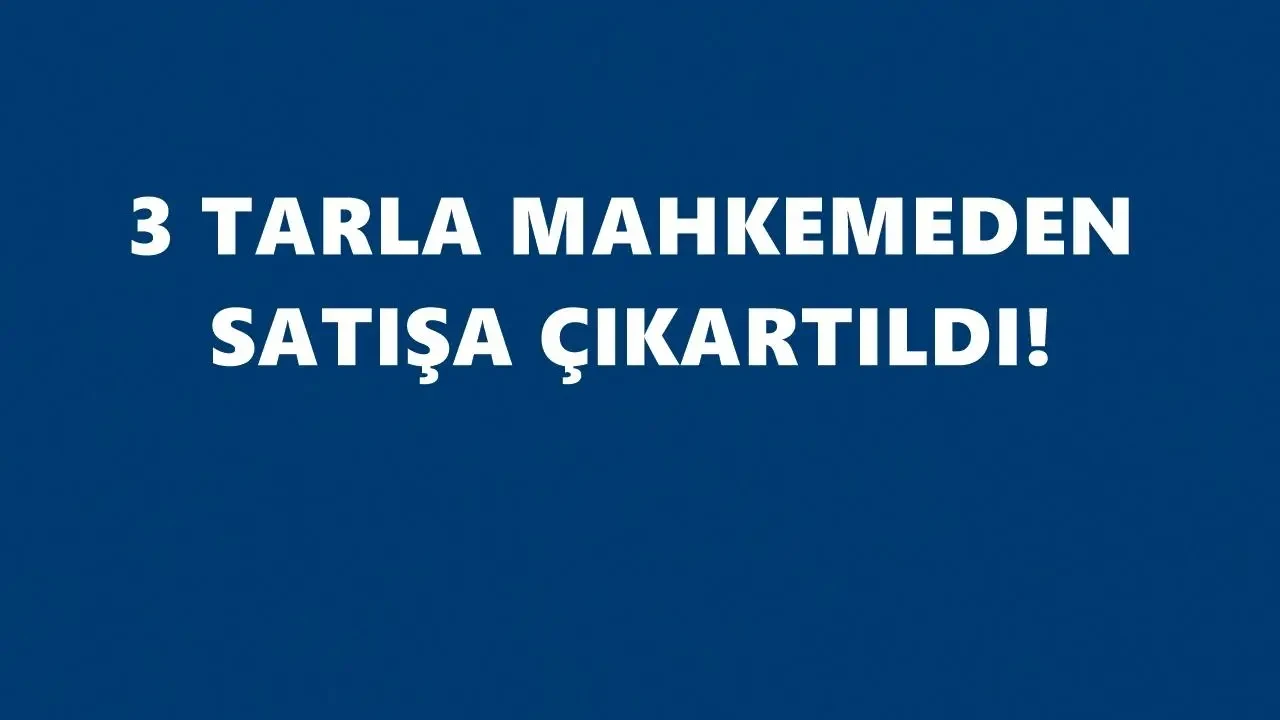 Ardanuç’ta üç tarla icradan satışa çıkıyor