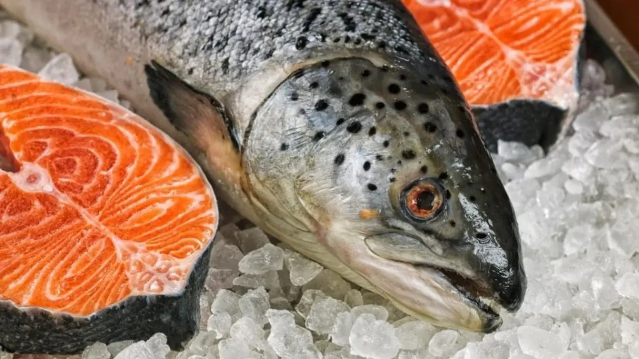 Artvin’den 67 ülkeye Türk somonu ihracatı